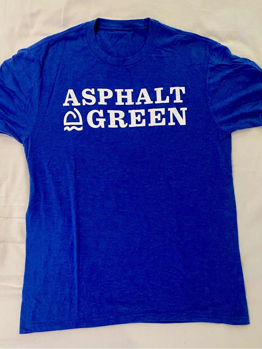 Men's Blue Asphalt Green Logo T-Shirt